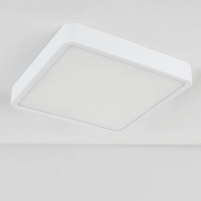 Потолочный светодиодный светильник Elektrostandard DLS034 18W 4200K a043017