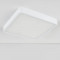 Потолочный светодиодный светильник Elektrostandard DLS034 18W 4200K a043017