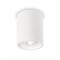 Потолочный светильник Ideal Lux Oak PL1 Round Bianco 150420