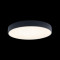 Потолочный светодиодный светильник Loft IT Axel 10002/24 black
