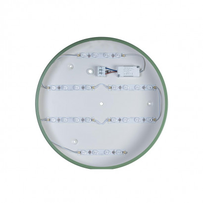 Потолочный светодиодный светильник Loft IT Axel 10003/24 green