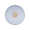 Потолочный светильник Loft IT AXEL 10003/24 Grey