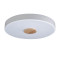 Потолочный светильник Loft IT AXEL 10003/24 White