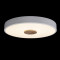 Потолочный светильник Loft IT AXEL 10003/24 White