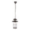 Уличный подвесной светильник Loft IT Palermo 100015P Уличный подвесной светильник Loft IT Palermo 100015P