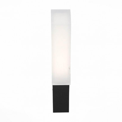 Уличный настенный светодиодный светильник ST Luce Posto SL096.411.02