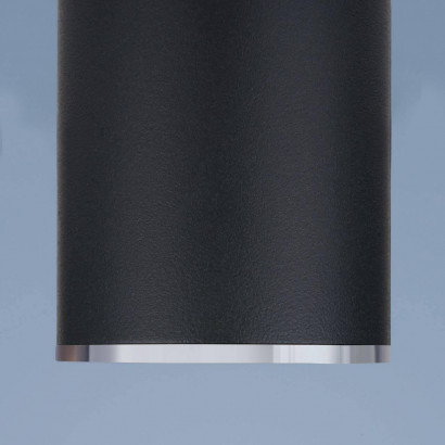 Потолочный светильник Elektrostandard DLN101 GU10 BK черный a043971