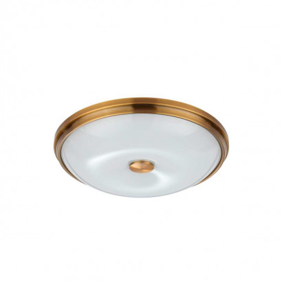 Потолочный светильник Odeon Light Walli Pelow 4956/4