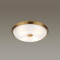 Потолочный светильник Odeon Light Walli Pelow 4956/4
