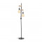 Торшер Evoluce Bagetti SL1142.405.01