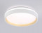 Потолочный светодиодный светильник Ambrella light Orbital Dance FZ601