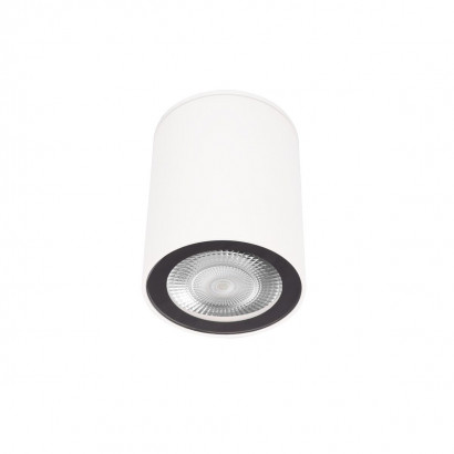 Накладной светильник Loft IT Rush 10344 White