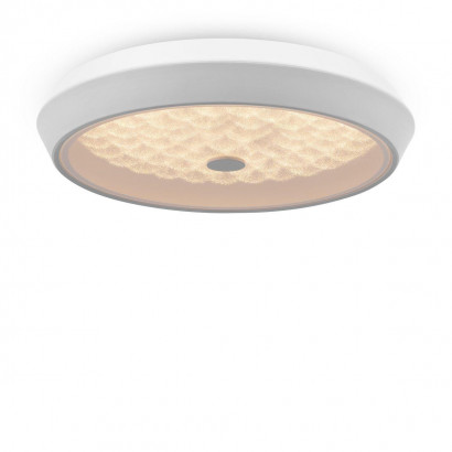 Потолочный светодиодный светильник Freya Cells FR10012CL-L24W