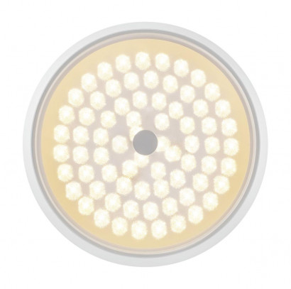 Потолочный светодиодный светильник Freya Cells FR10012CL-L24W