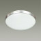 Настенно-потолочный светодиодный светильник Sonex Pale Geta silver 2076/DL