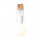 Бра Evoluce Bagetti SL1142.501.01