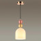 Подвесной светильник Lumion Suspentioni Gillian 4589/1A