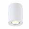 Потолочный светильник Crystal Lux CLT 410C1 WH