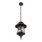 Уличный подвесной светильник Loft IT Prato 100021P