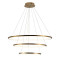 Подвесной светодиодный светильник Loft IT Ring 10015/3
