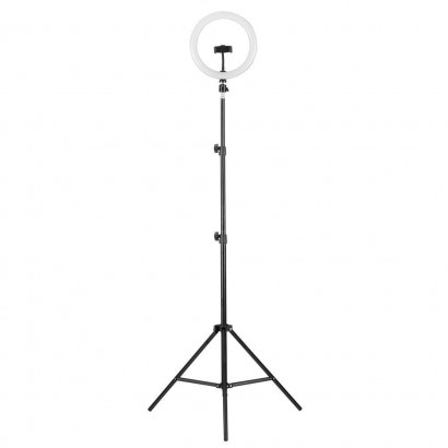 Торшер Camelion KD-810F C02 13010