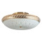 Накладной светильник Toplight Loreen TL1492Y-05GC