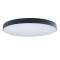 Потолочный светильник Loft IT AXEL 10002/48 Black Потолочный светильник Loft IT AXEL 10002/48 Black