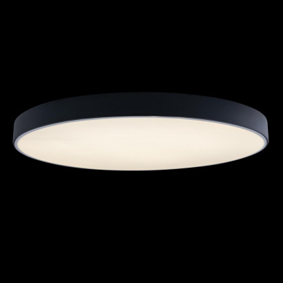 Потолочный светильник Loft IT AXEL 10002/48 Black